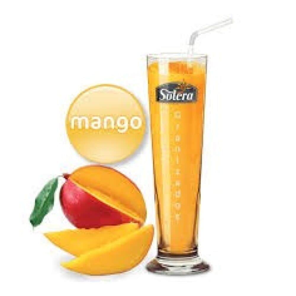 Solera GRANIZADO Mango Express 1 Litro Granizados